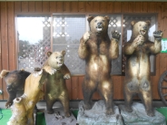 image007